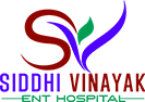 siddhivinayakenthospital.com